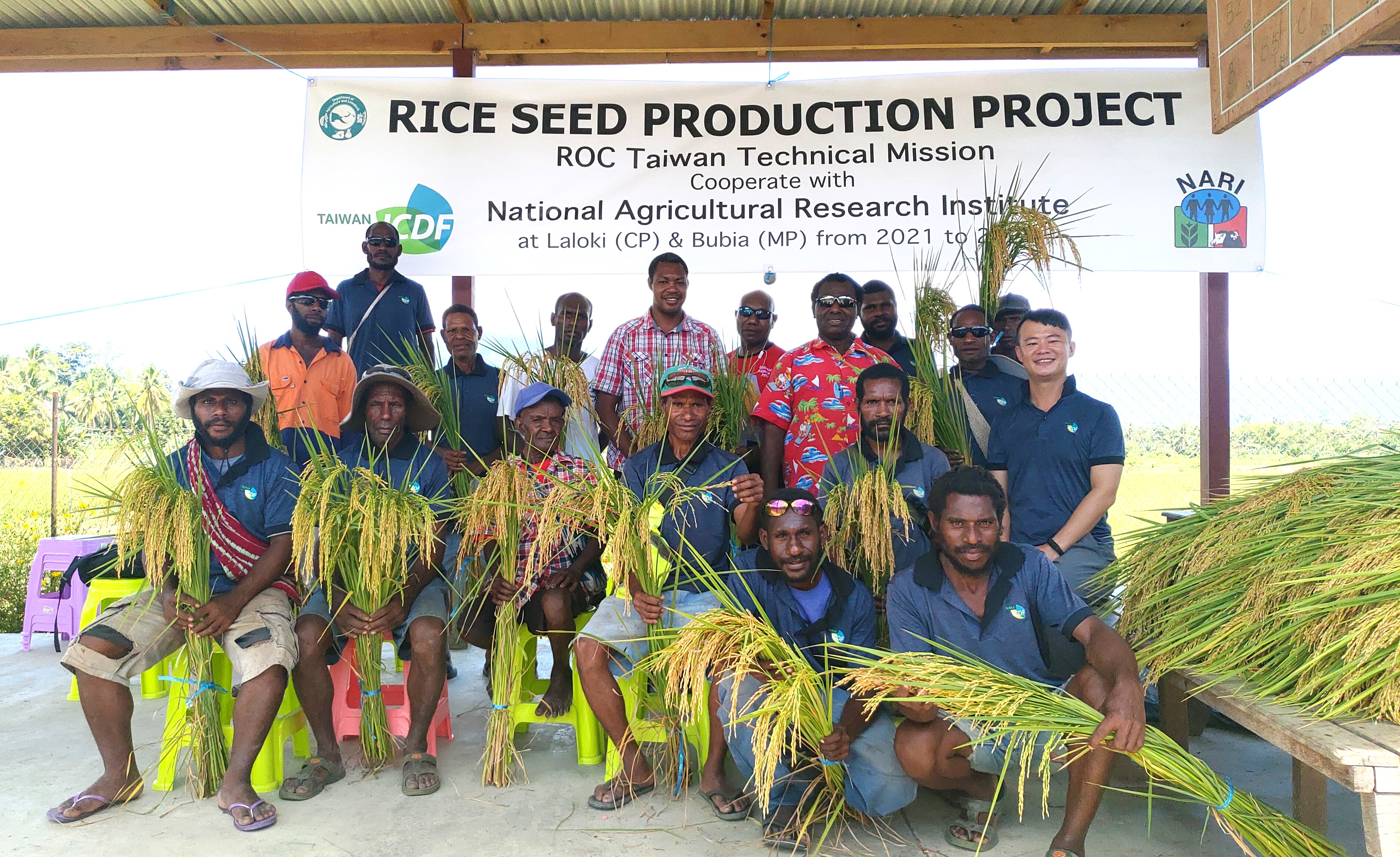 巴布亞紐幾內亞稻種增產計畫