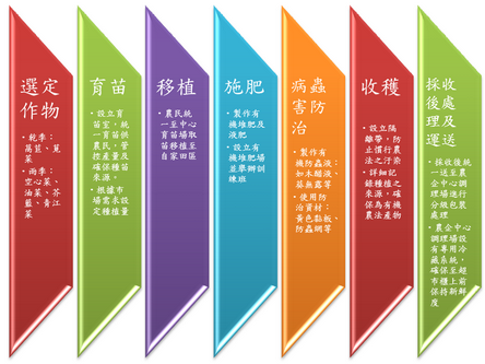 有機蔬菜生產流程圖