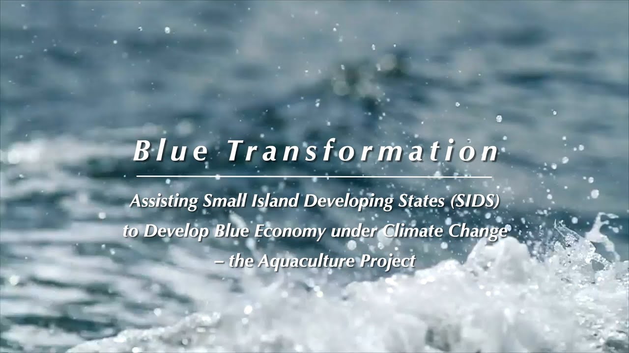 Blue Transformation｜Aquaculture Projects in the Small Island Developing States (SIDS) in the Pacific