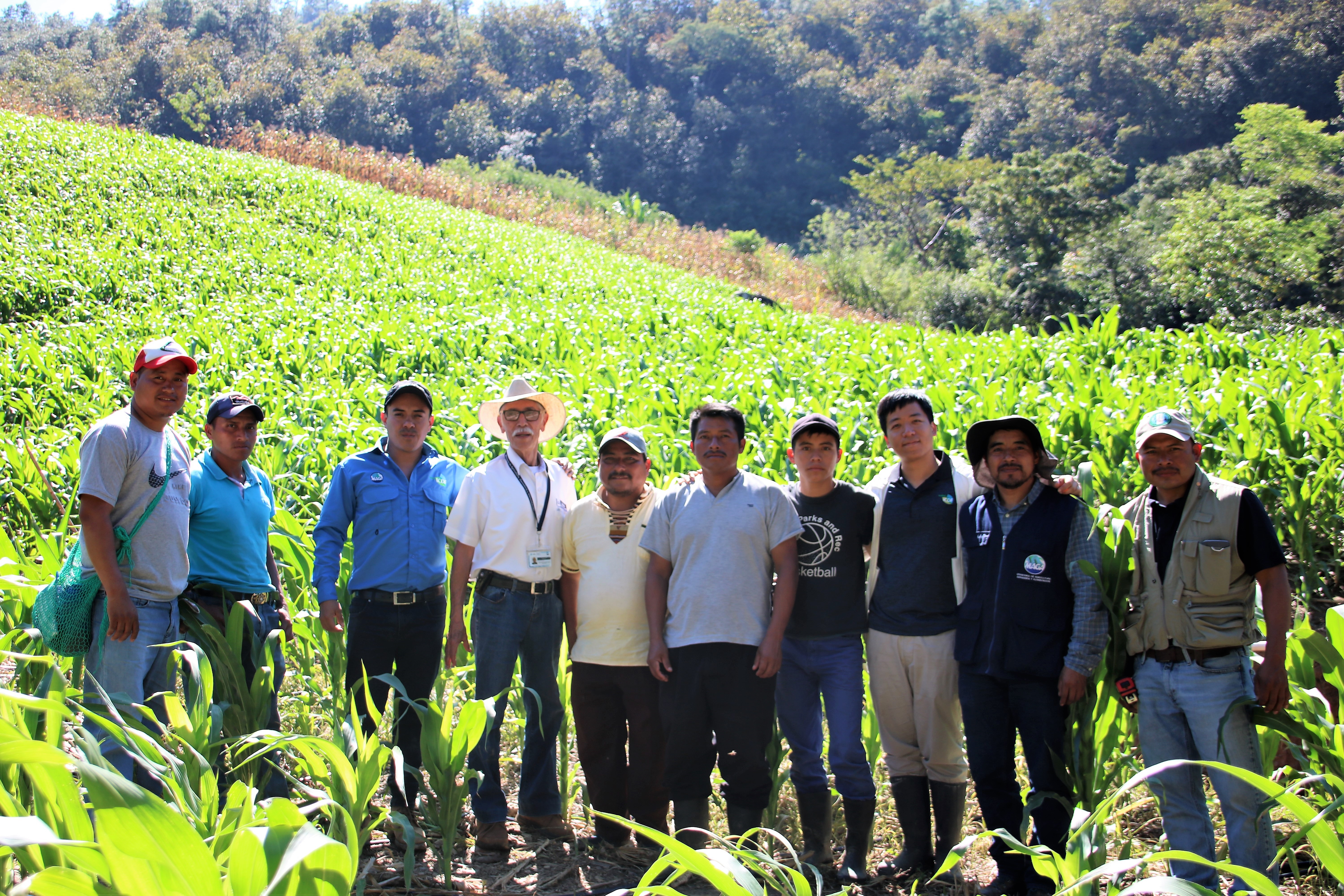 瓜地馬拉強化玉米生產韌性計畫