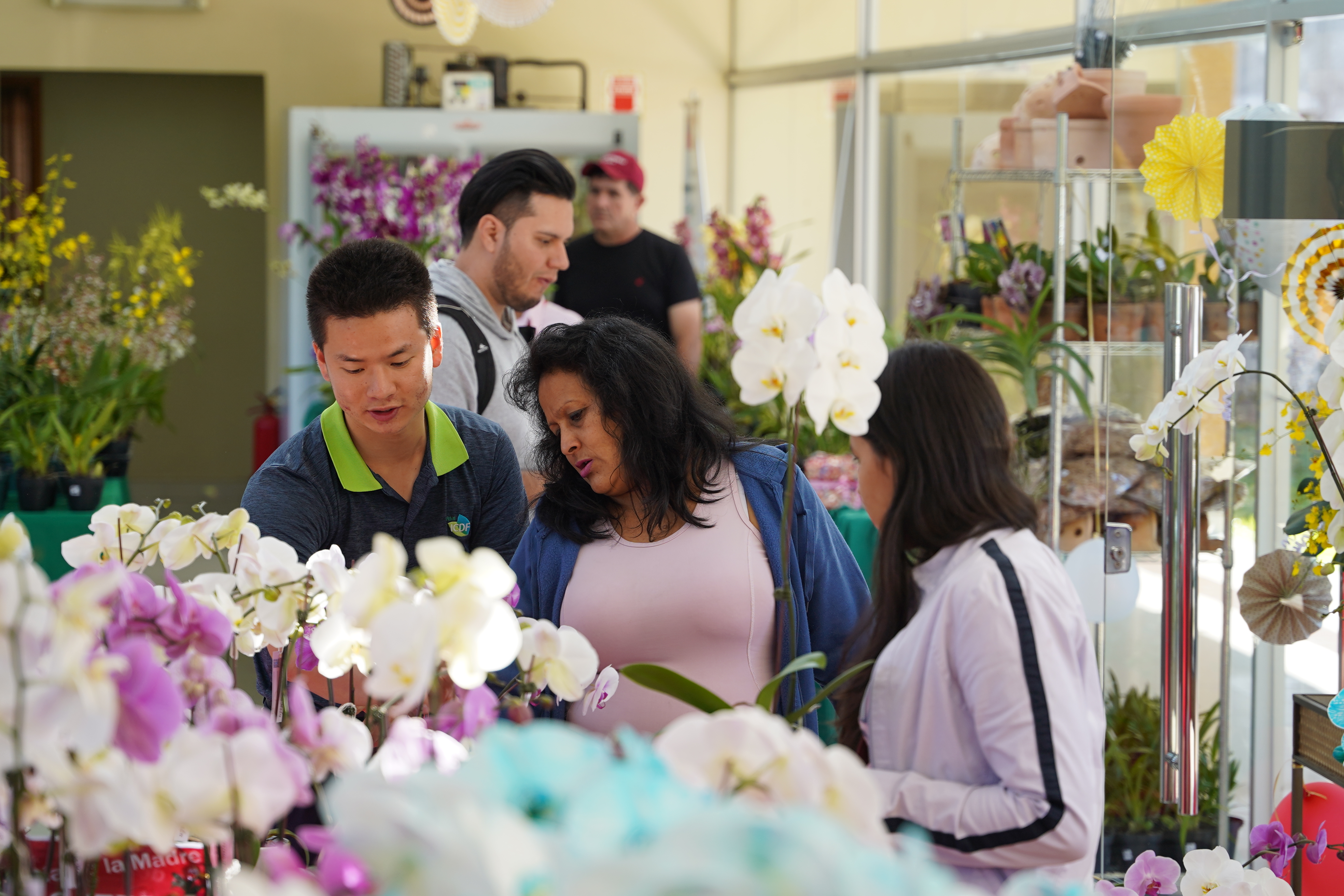 Taiwan’s Phalaenopsis Orchids: An Increasingly Popular Mother’s Day Gift in Paraguay