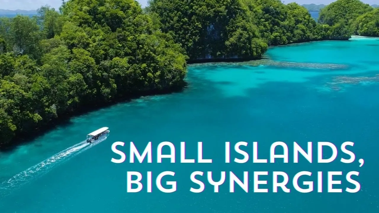 Small Islands, Big Synergies!