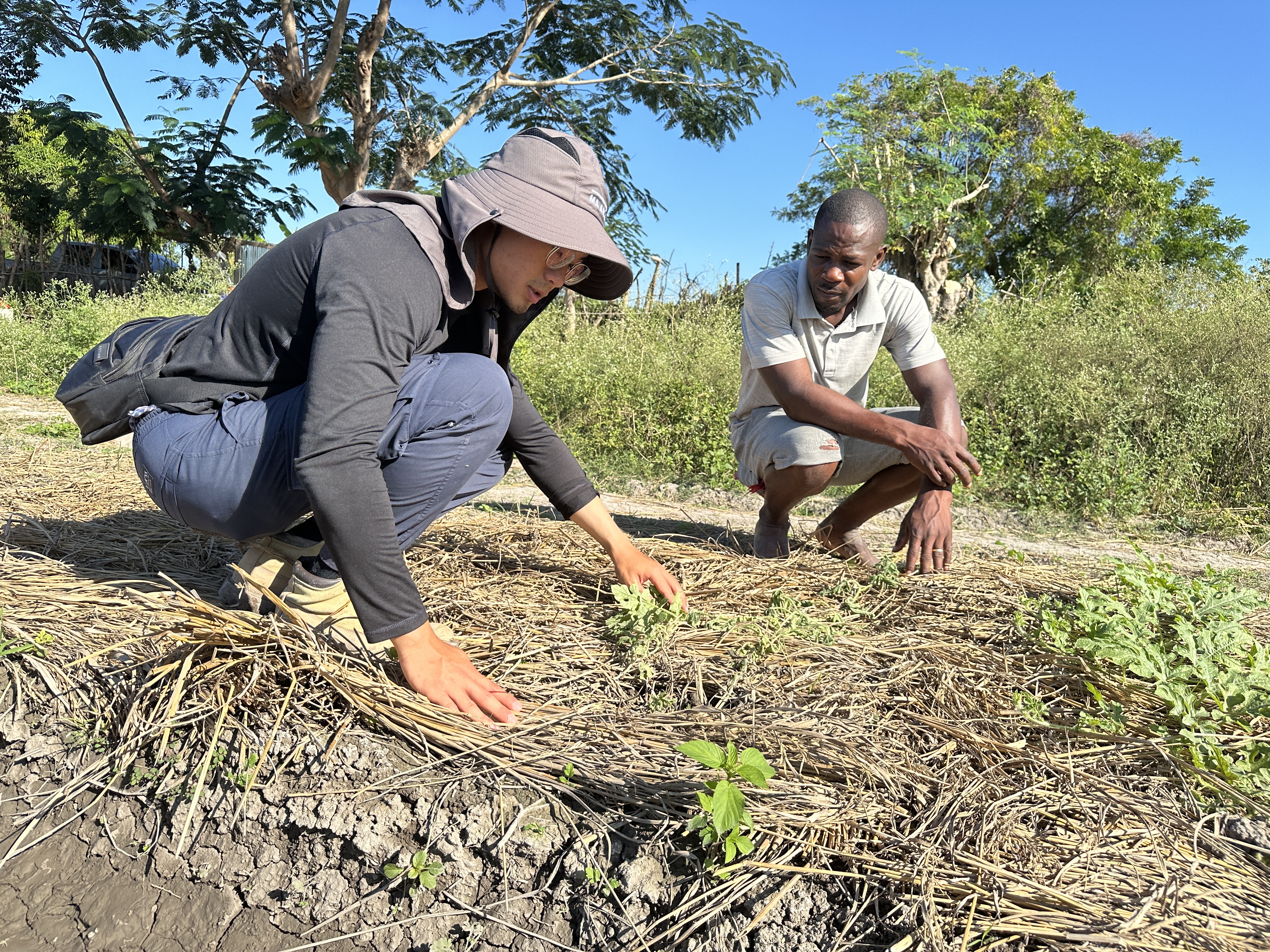 Haiti Vegetable and Fruit Cultivation Development Project