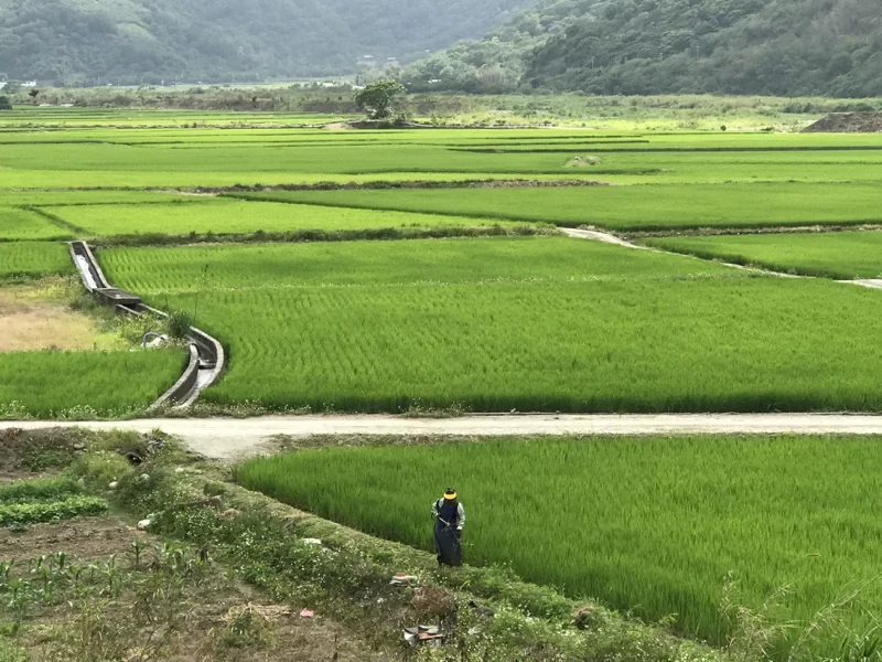 10. Workshop on Low Carbon Agriculture