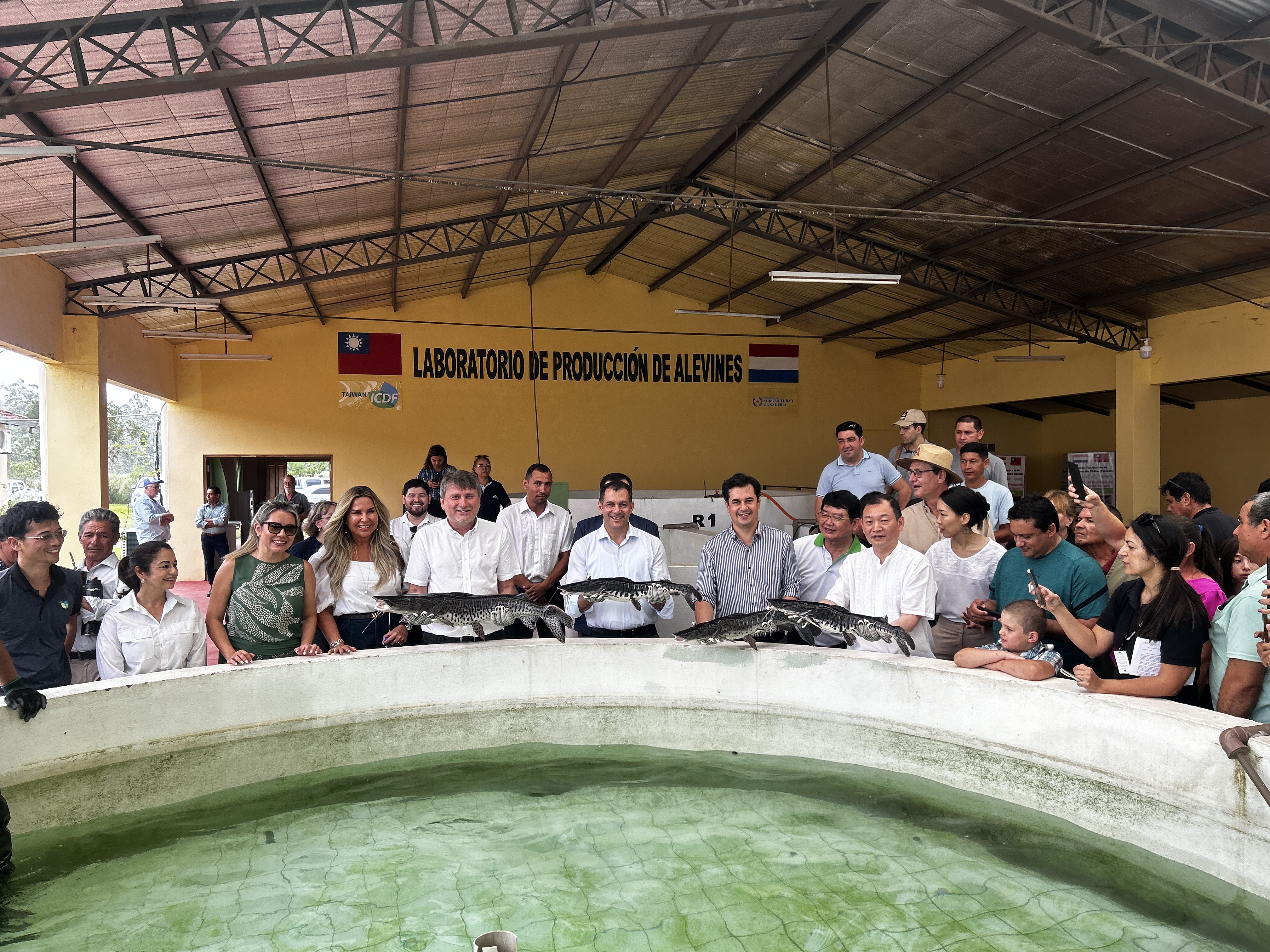 Surubi Commercial Production Project (Paraguay)