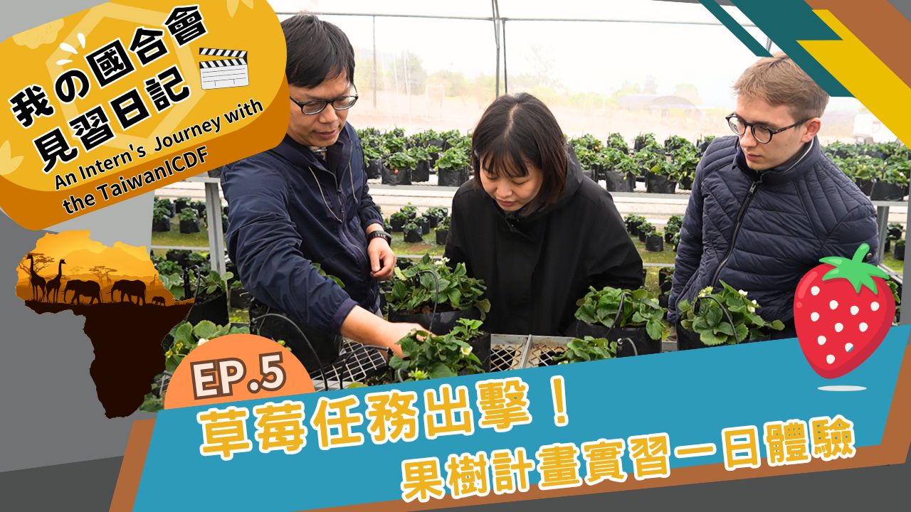 我的國合會見習日記 第5集 | 草莓任務出擊 果樹計畫一日體驗