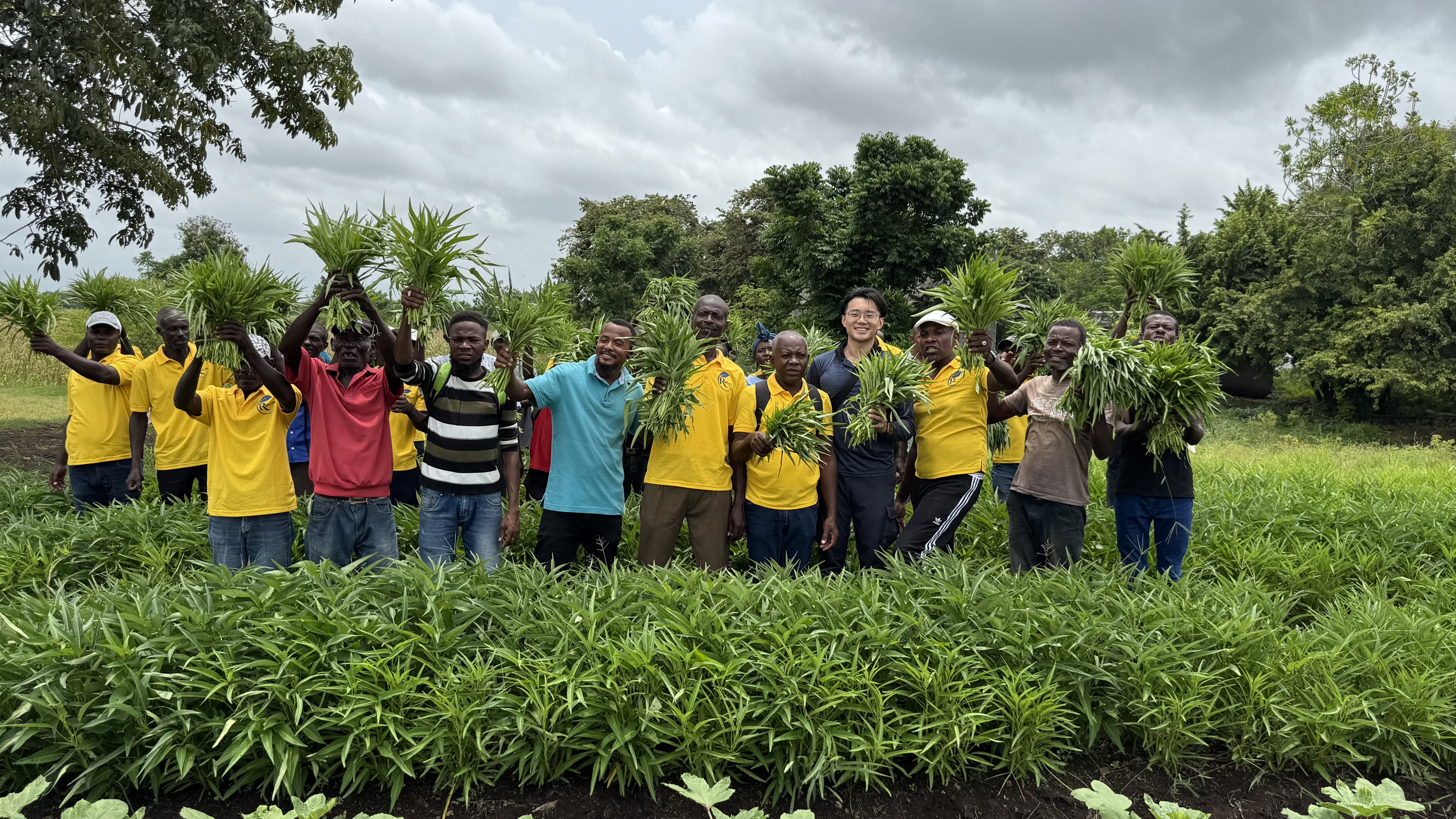 2025 Haiti Vegetable and Fruit Cultivation Development Project