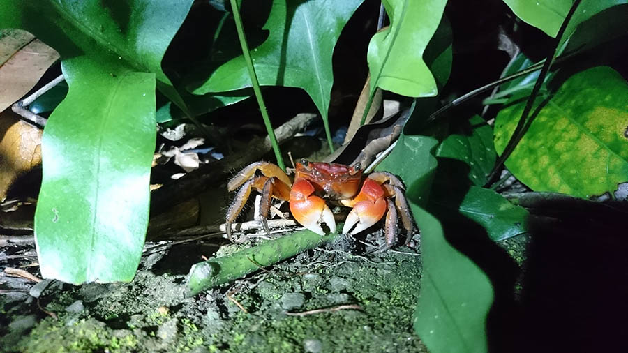 3. Workshop on Ecotourism and Community Development