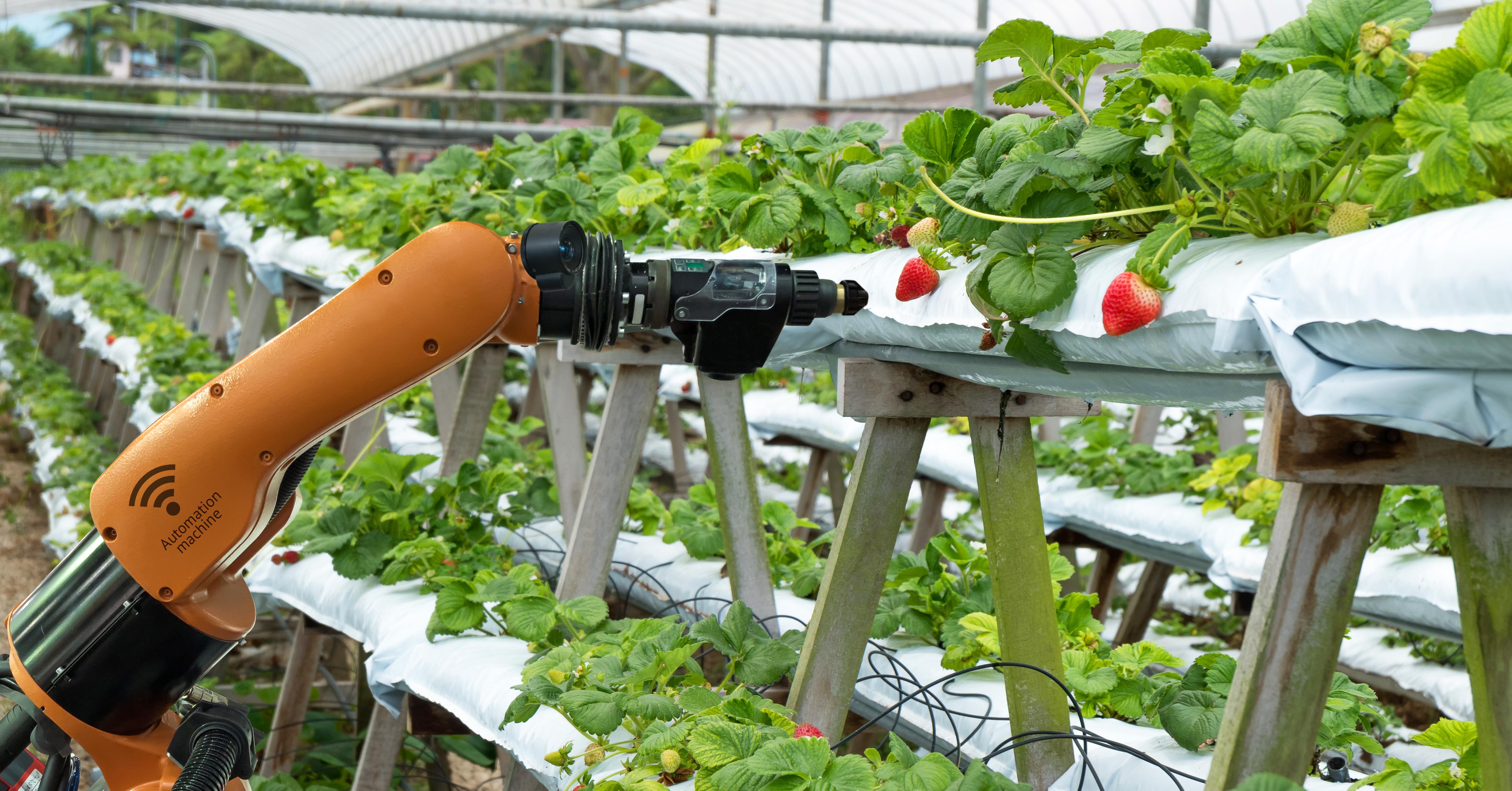 9.  Workshop on AI in Agrotechnology