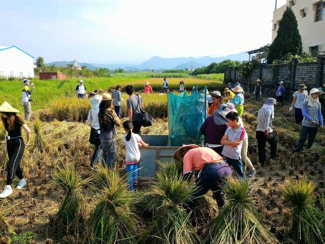 12. Workshop on Rural Community Building