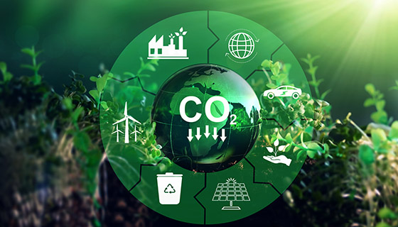 11. Workshop on Waste Reduction and Carbon Management