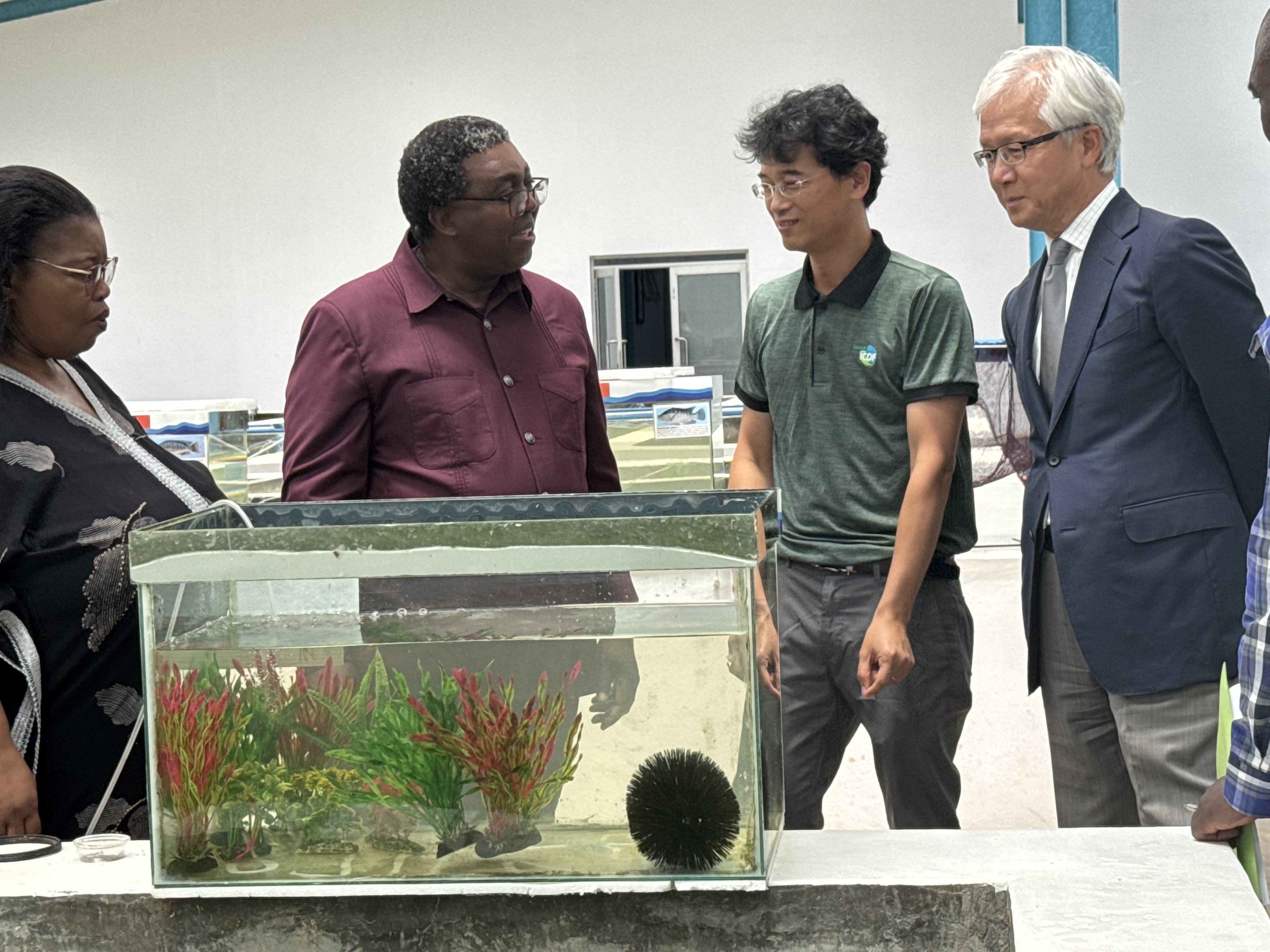 Foot-and-Mouth Disease Deals a Blow to Swaziland’s Beef Industry; TaiwanICDF Supports Aquaculture as a Key Protein Alternative